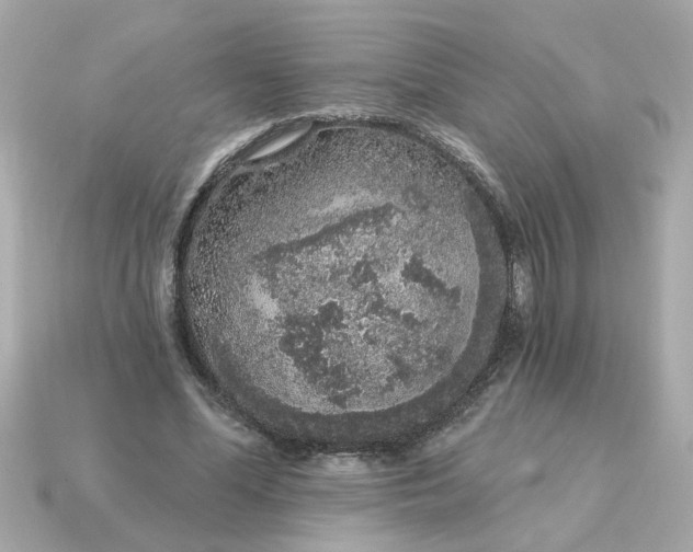 X0000115160588200911101752