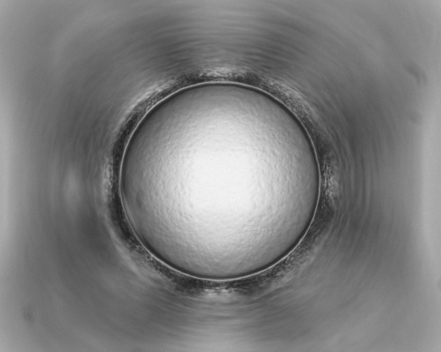 X0000115160591200911101752