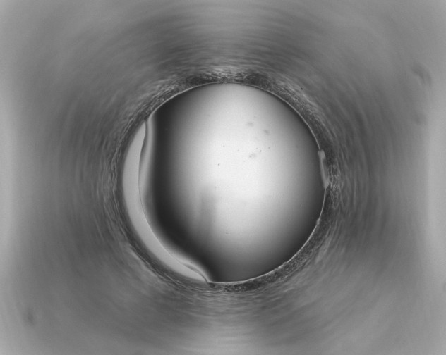 X0000115160593200911101752