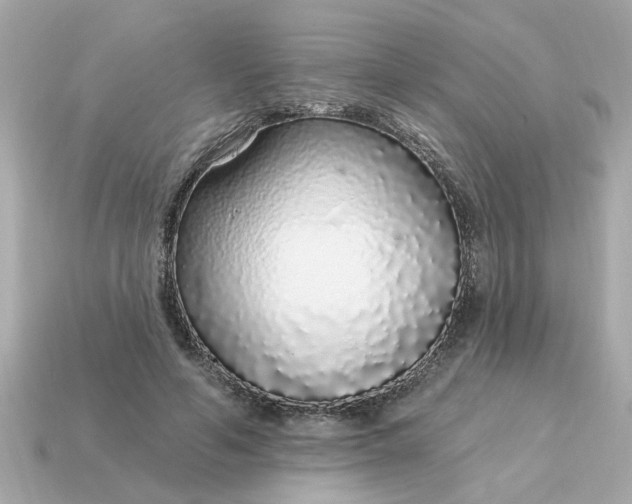 X0000115160594200911101752