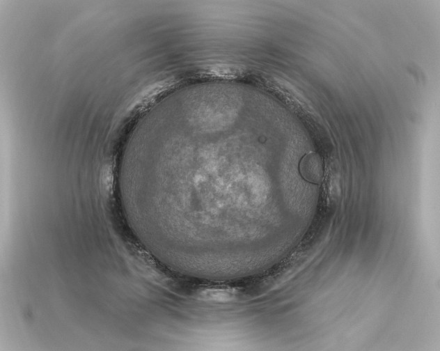 X0000115160595200911101752
