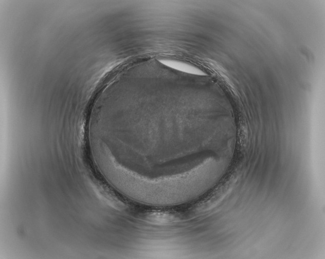 X0000115160596200911101752
