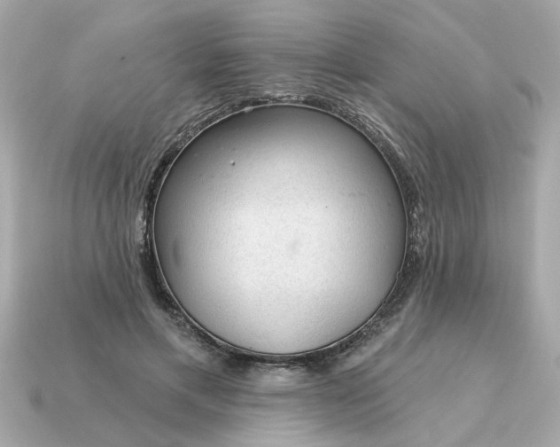X0000115160597200911101752