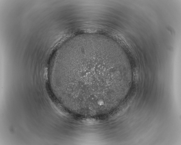 X0000115160598200911101752