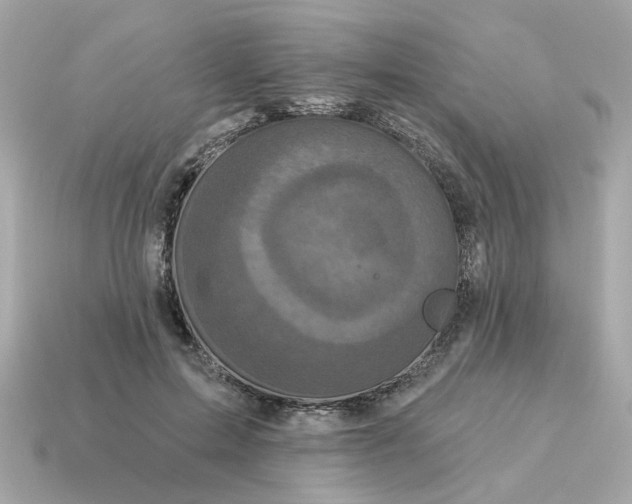 X0000115160599200911101752