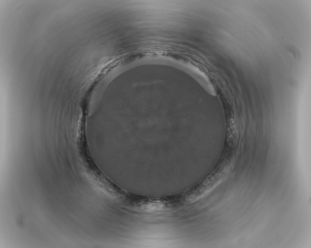 X0000115160600200911101752