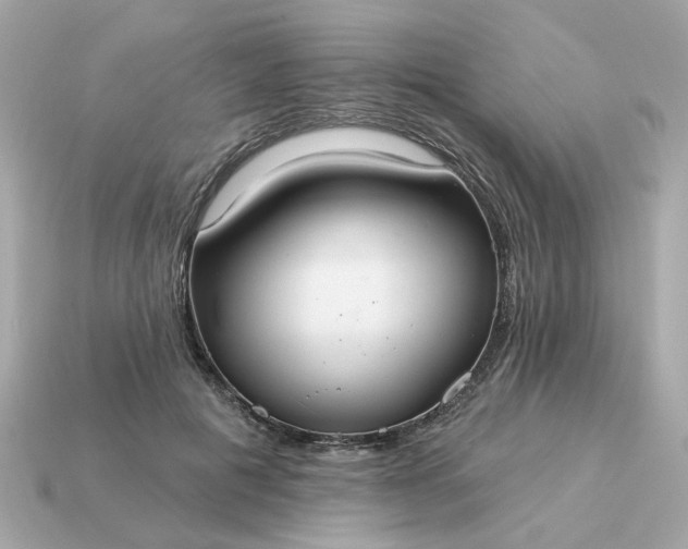 X0000115160601200911101752