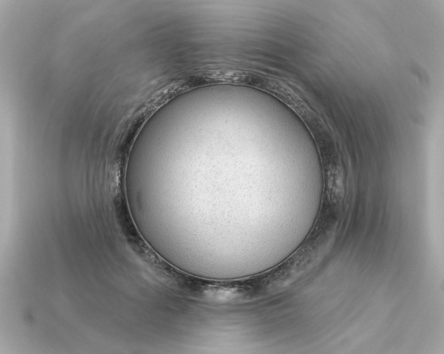 X0000115160602200911101752