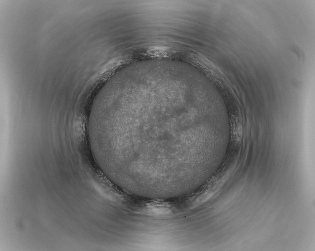 X0000115160603200911101752
