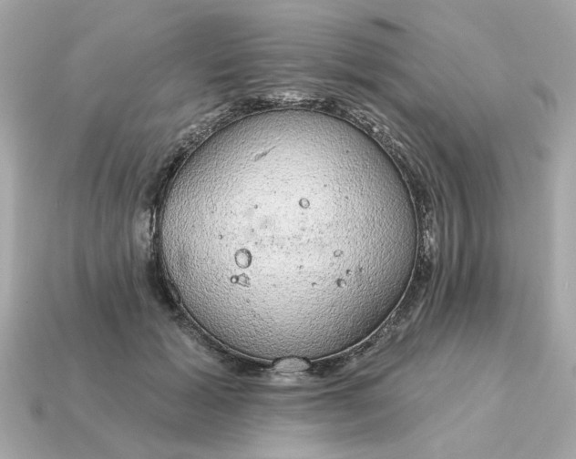 X0000115160605200911101752
