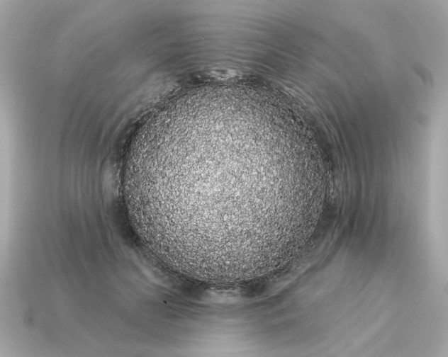 X0000115160606200911101751