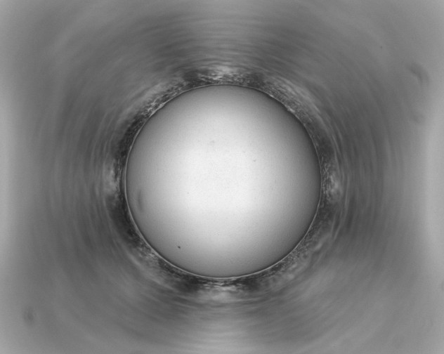 X0000115160607200911101751