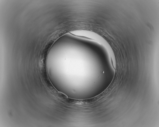 X0000115160611200911101751