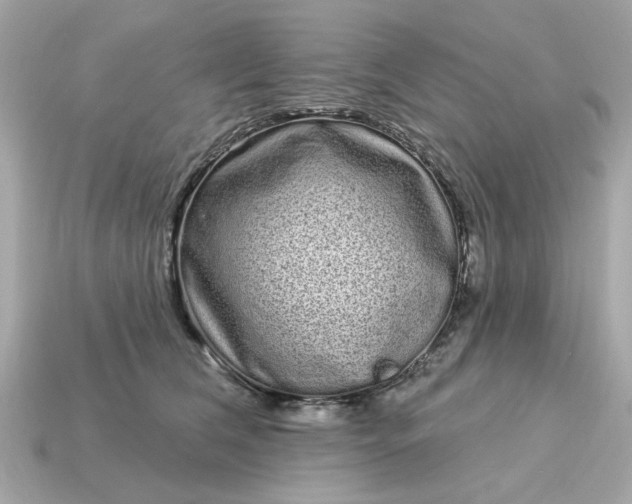 X0000115160612200911101751