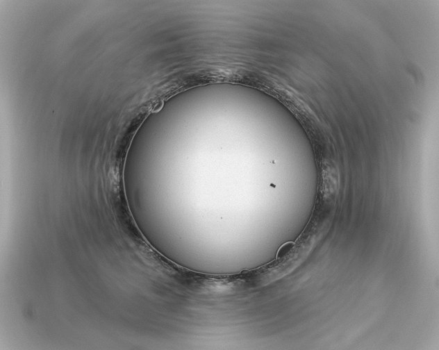 X0000115160613200911101751