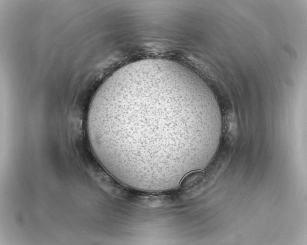 X0000115160615200911101751