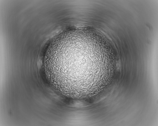 X0000115160618200911101751