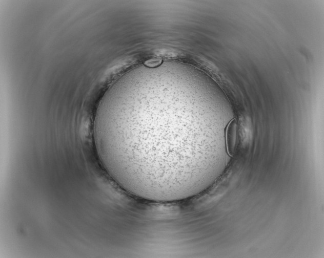X0000115160619200911101751