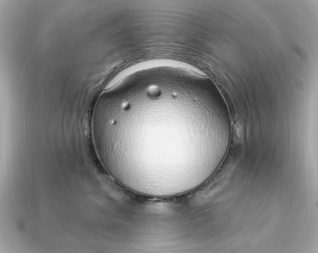 X0000115160620200911101751
