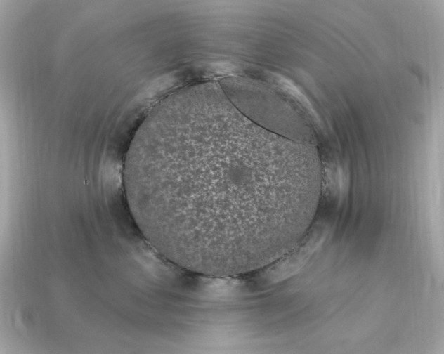 X0000115160621200911101751