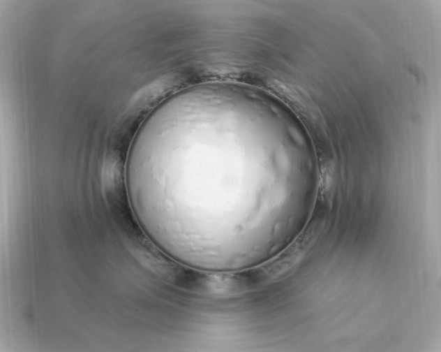 X0000115160623200911101751