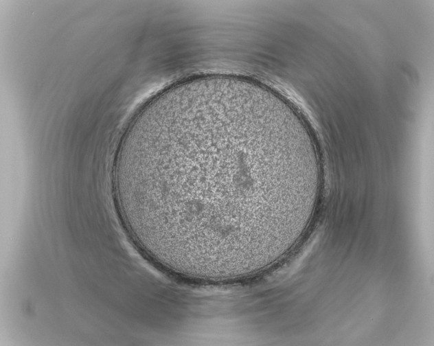 X0000115160625200911101750