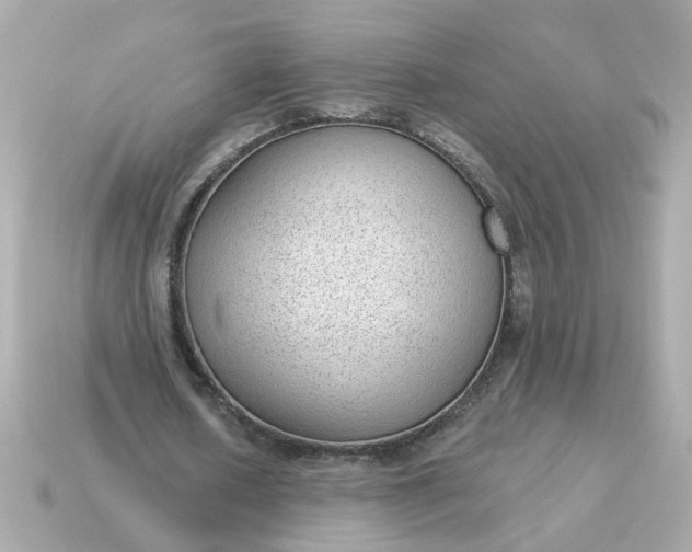 X0000115160626200911101750