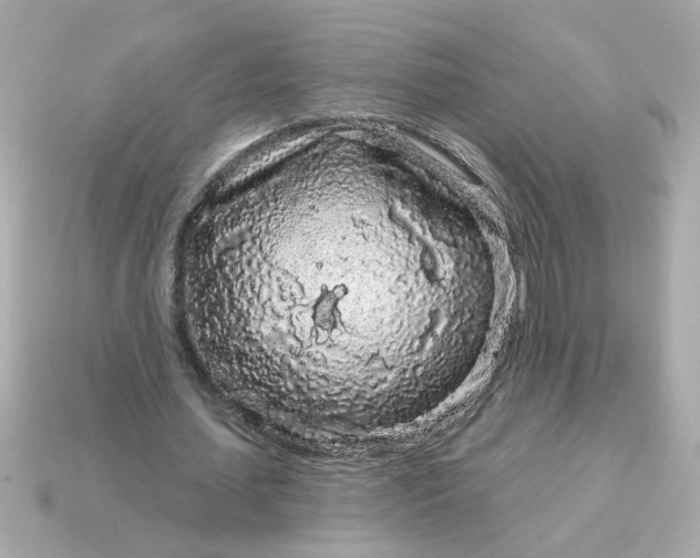 X0000115160627200911101751