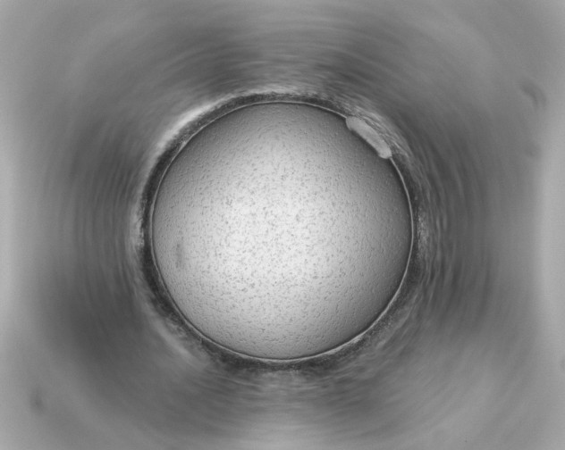 X0000115160628200911101751