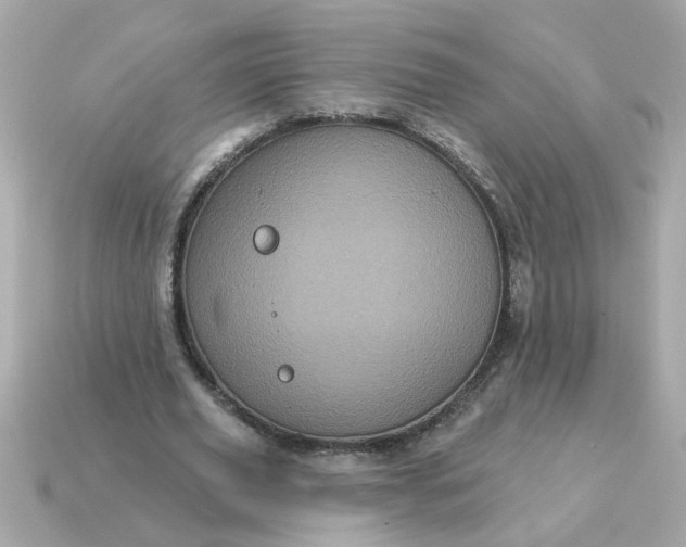 X0000115160629200911101751