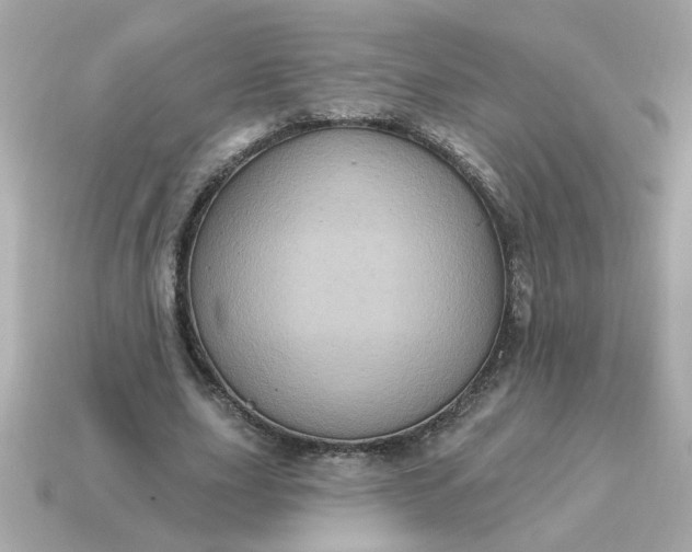 X0000115160631200911101751