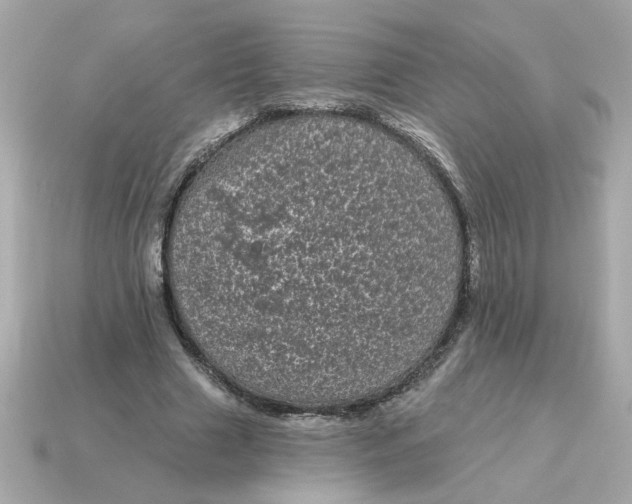 X0000115160633200911101751