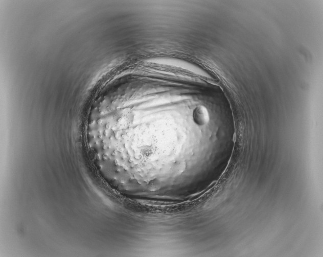 X0000115160634200911101751