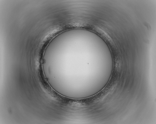 X0000115160635200911101751