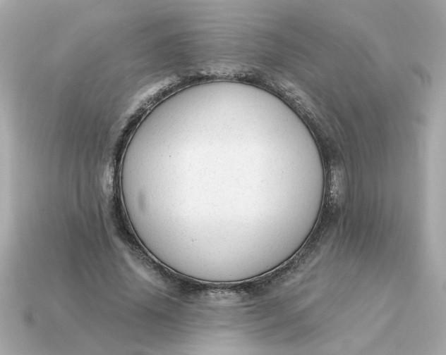 X0000115160636200911101751
