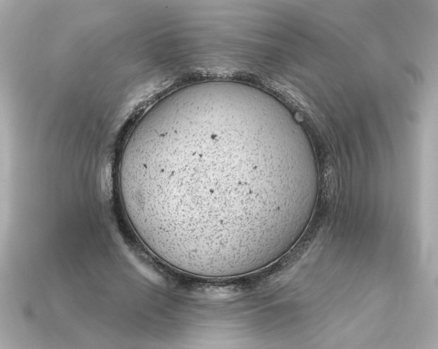 X0000115160638200911101751