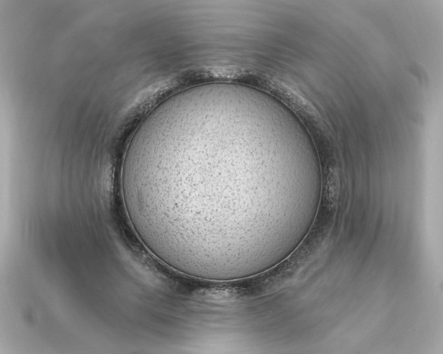 X0000115160639200911101751