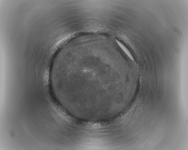 X0000115160640200911101751