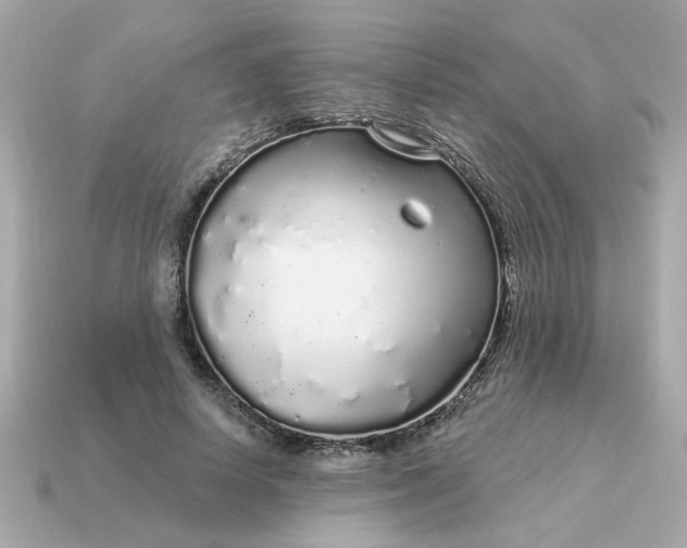 X0000115160642200911101751