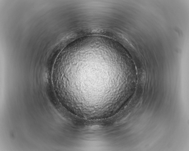 X0000115160643200911101751