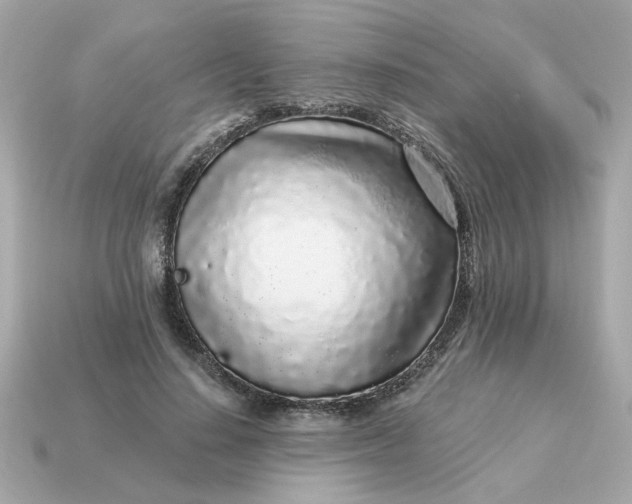 X0000115160644200911101751