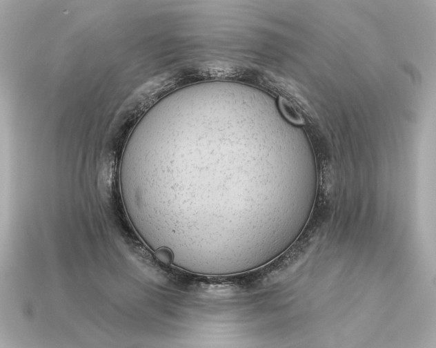 X0000115160645200911101751