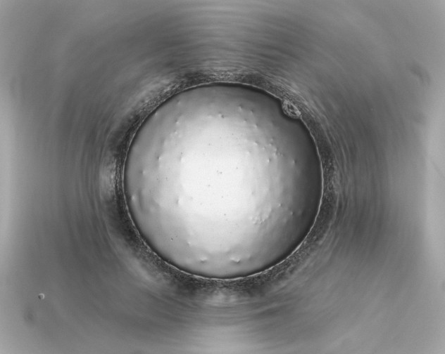 X0000115160647200911101751