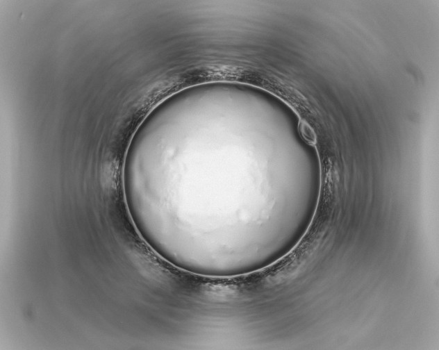 X0000115160649200911101751