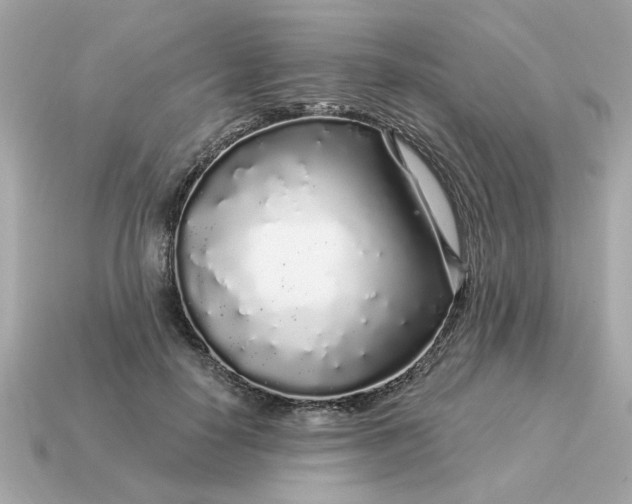 X0000115160650200911101751