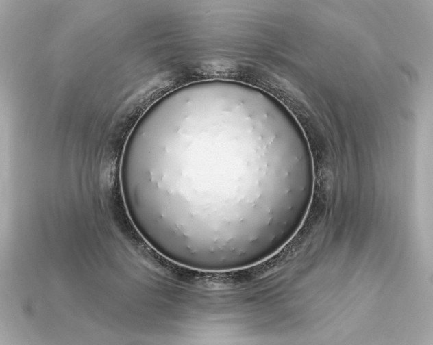 X0000115160652200911101751