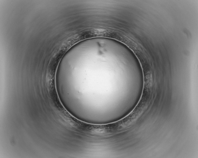X0000115160653200911101751