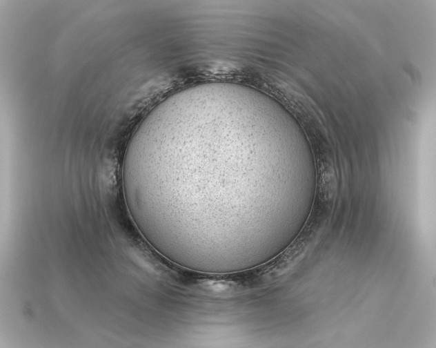 X0000115160654200911101751