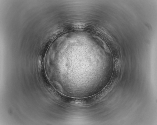 X0000115160655200911101751