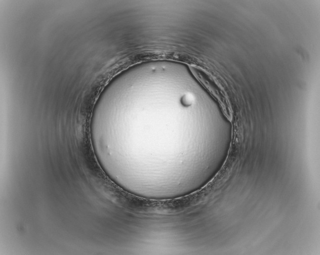 X0000115160656200911101751